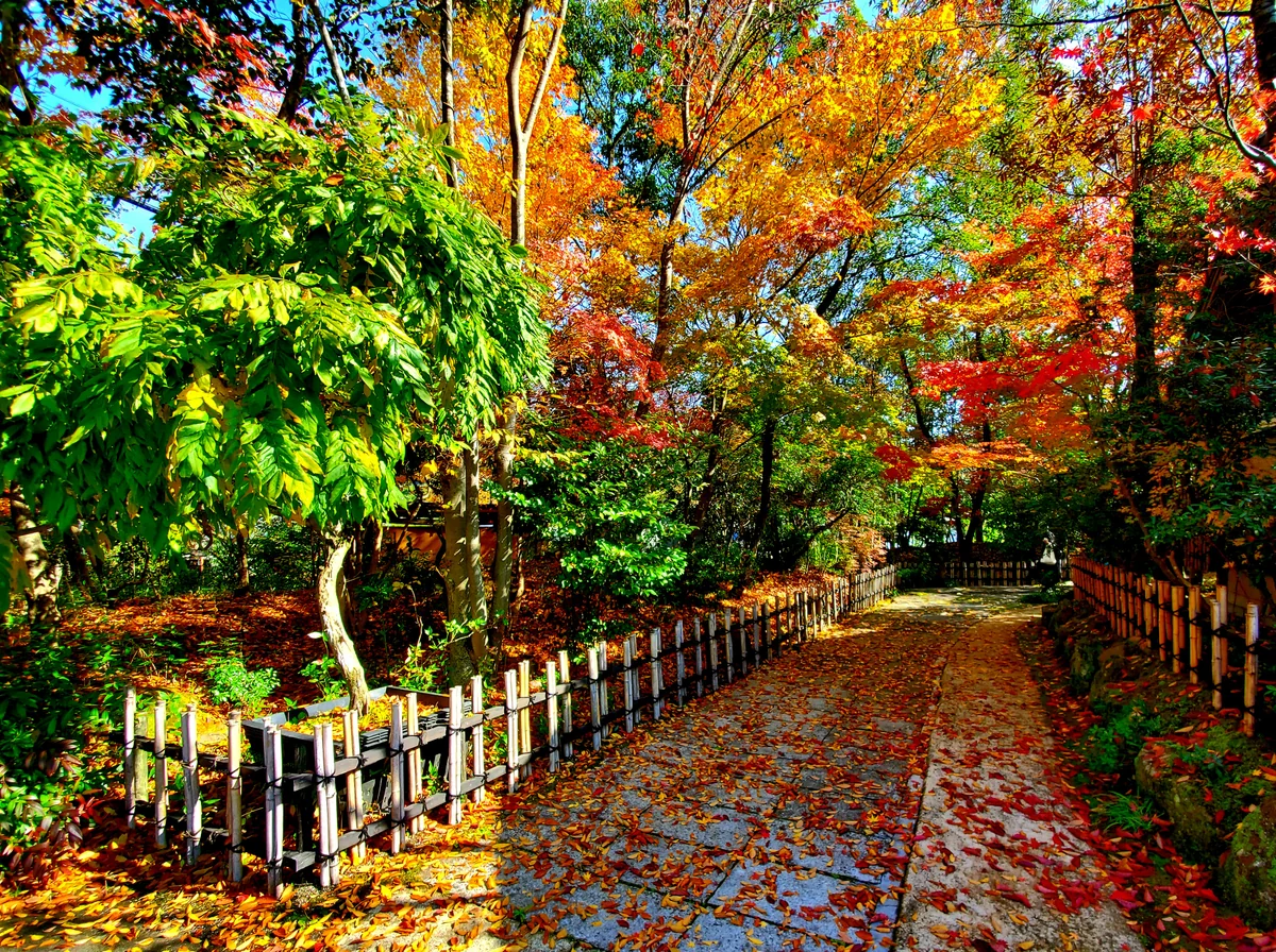 投稿写真：趣がある風景