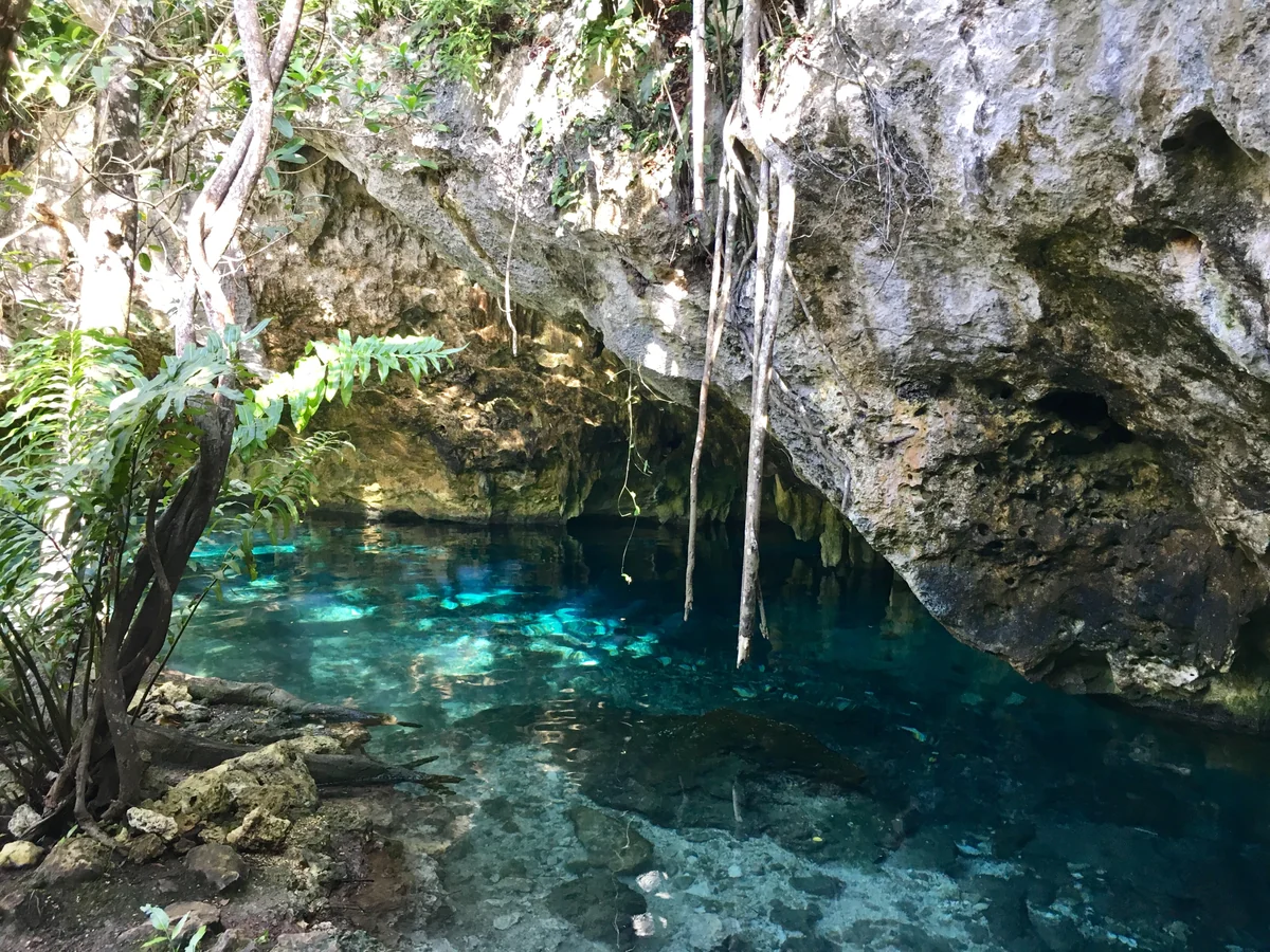 投稿写真：グランセノーテ