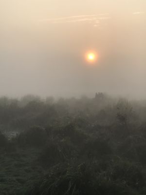  | 絶景事典