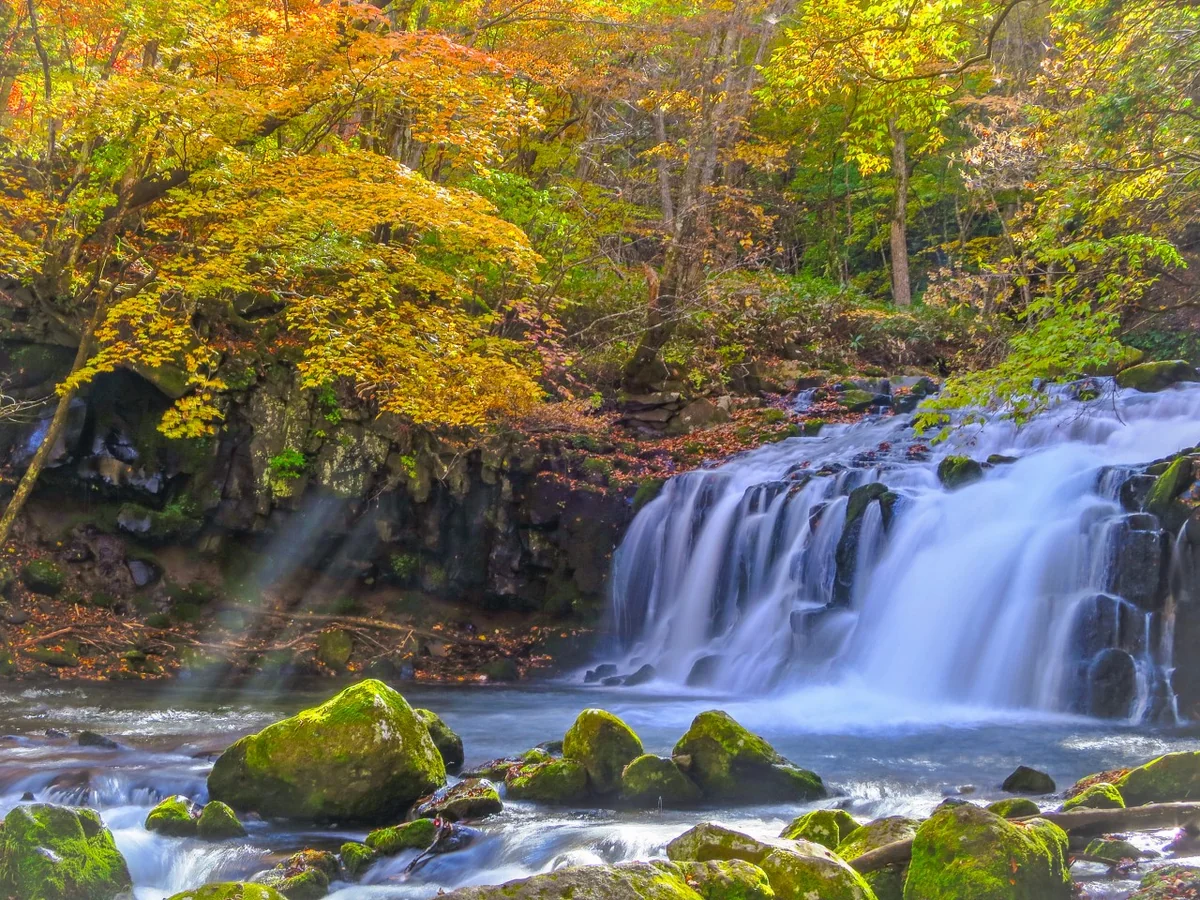 投稿写真：秋の蓼科大滝