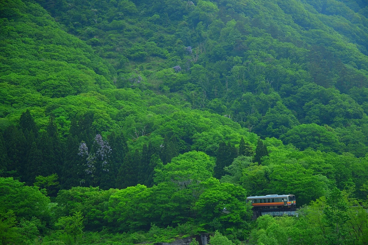 投稿写真：新緑の大糸線