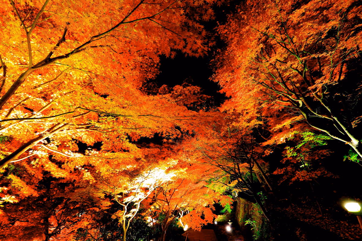 投稿写真：燃える心