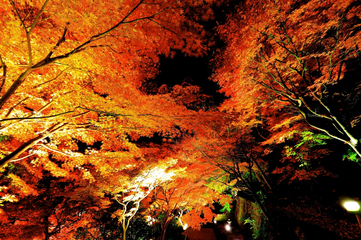 投稿写真：燃える心