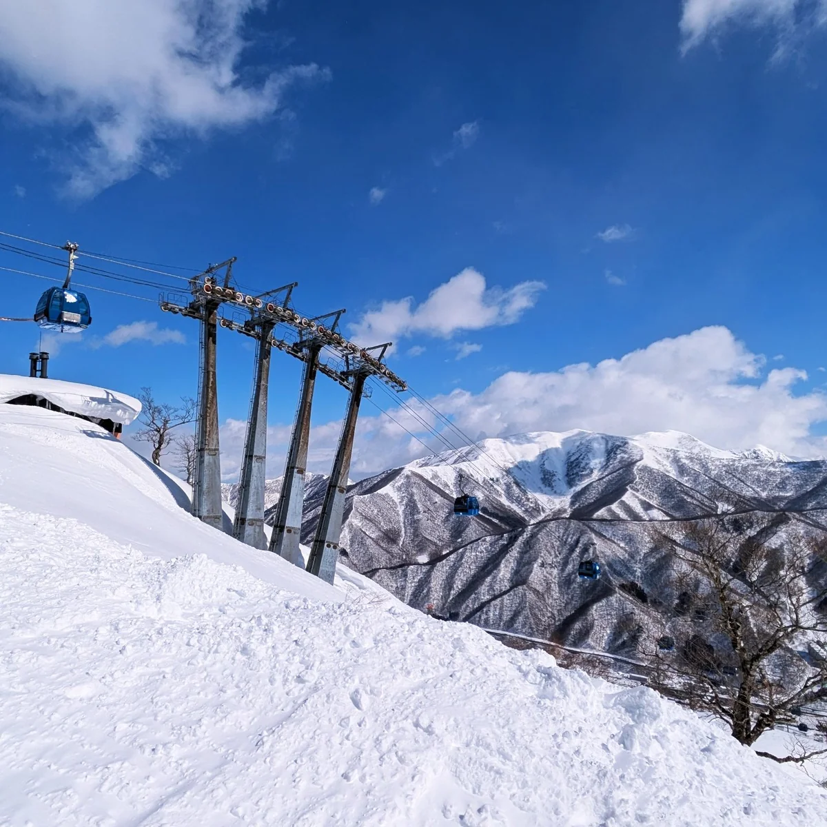 投稿写真：苗場スキー場