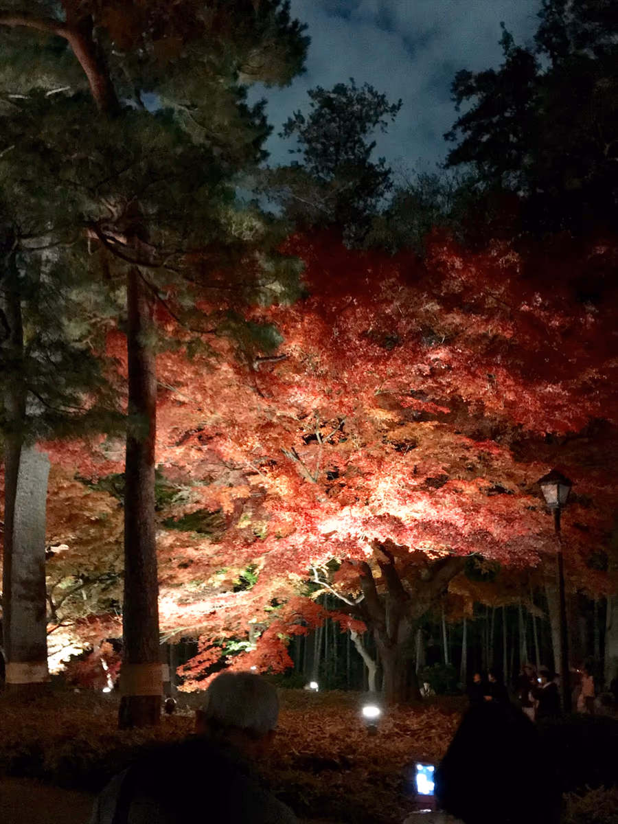 投稿写真：『おやすみ、そして、ありがとう』