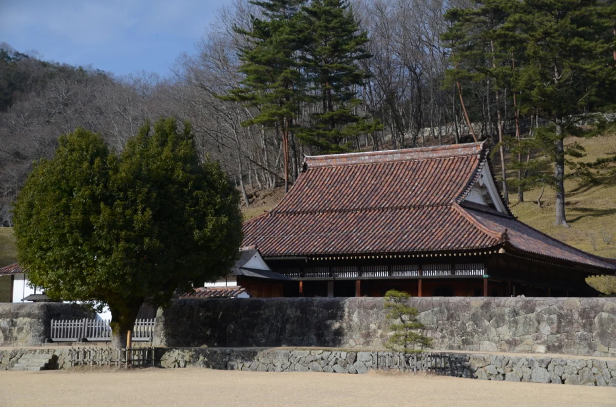 投稿写真：この木なんの木　ハートの木