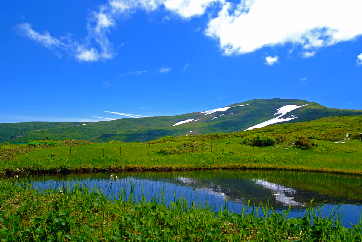 投稿写真：月山八合目の夏
