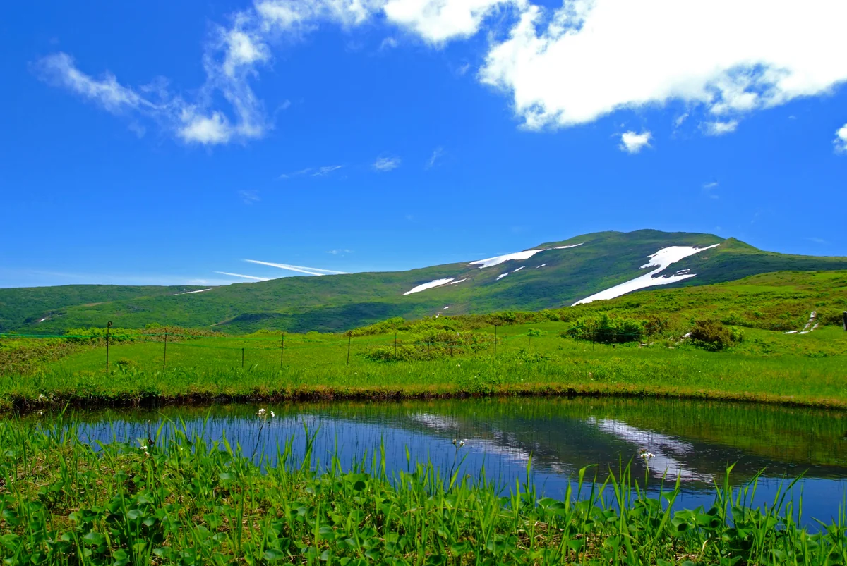 投稿写真：月山八合目の夏