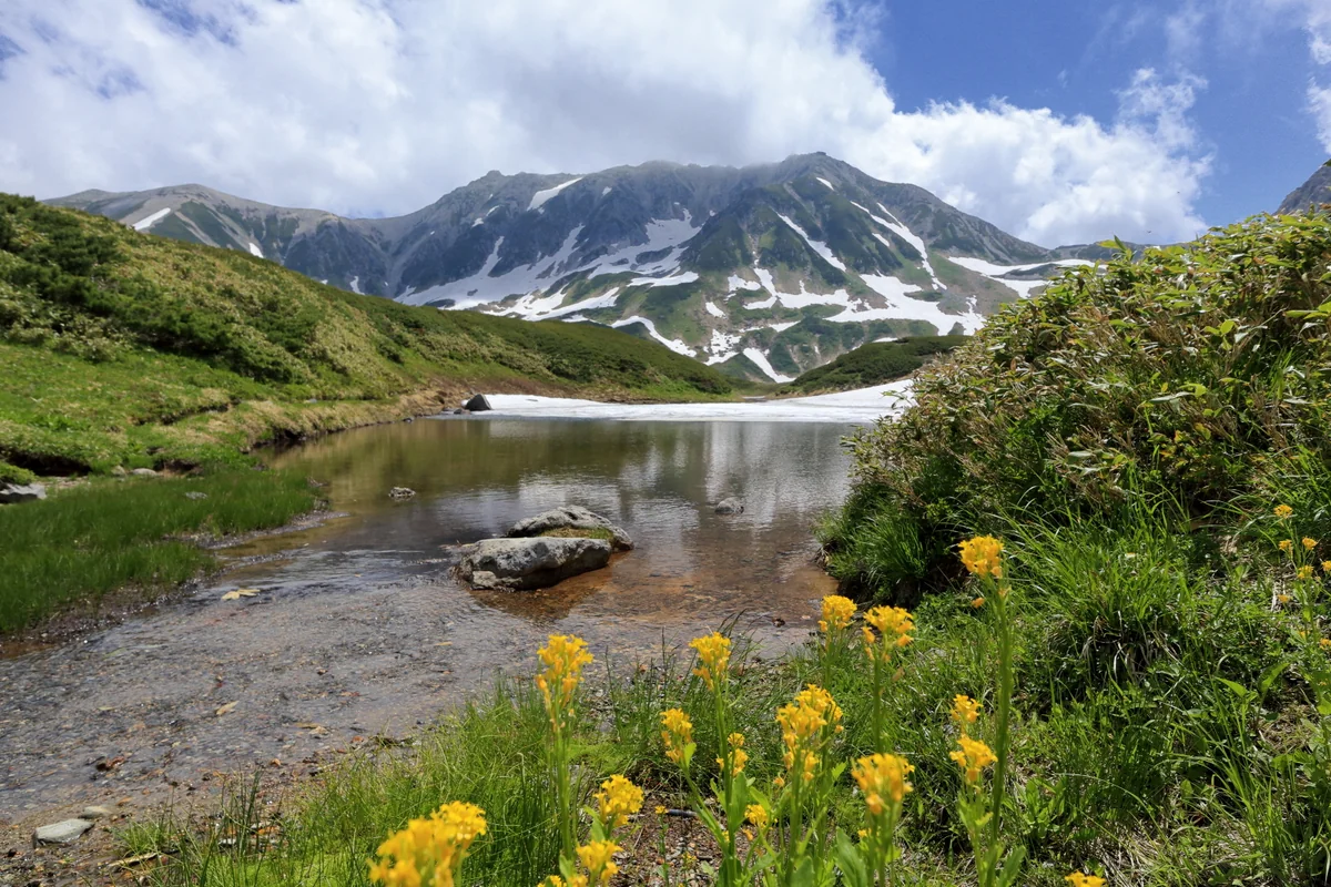 投稿写真：初夏