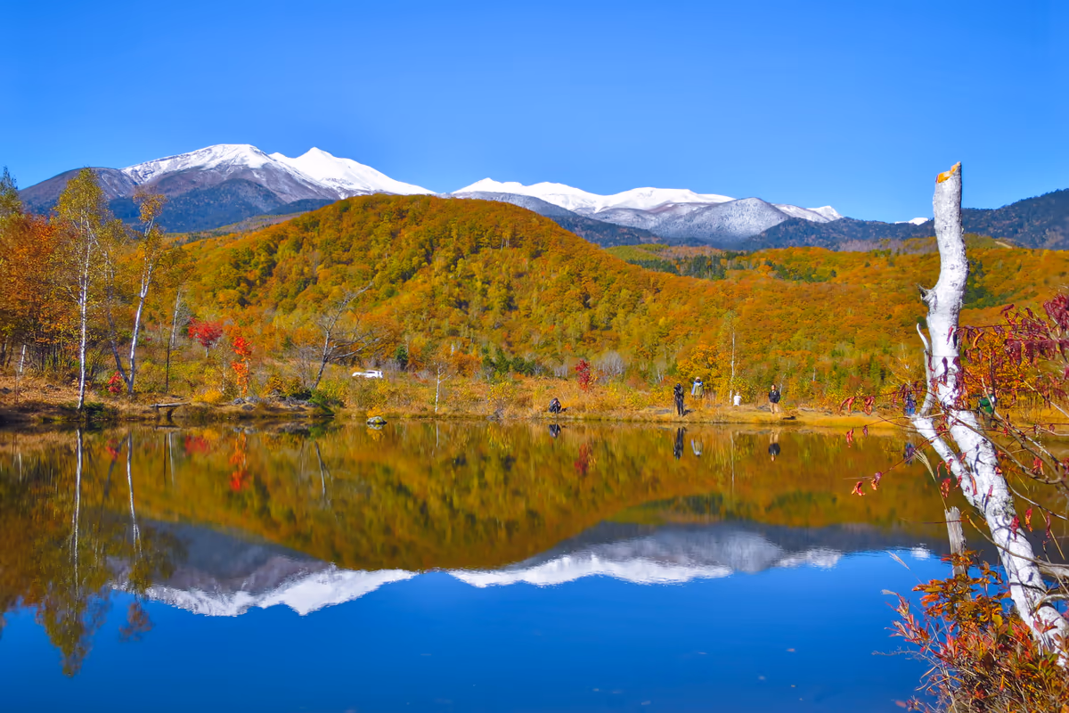 投稿写真：まいめの池に写る白銀の乗鞍岳と紅葉