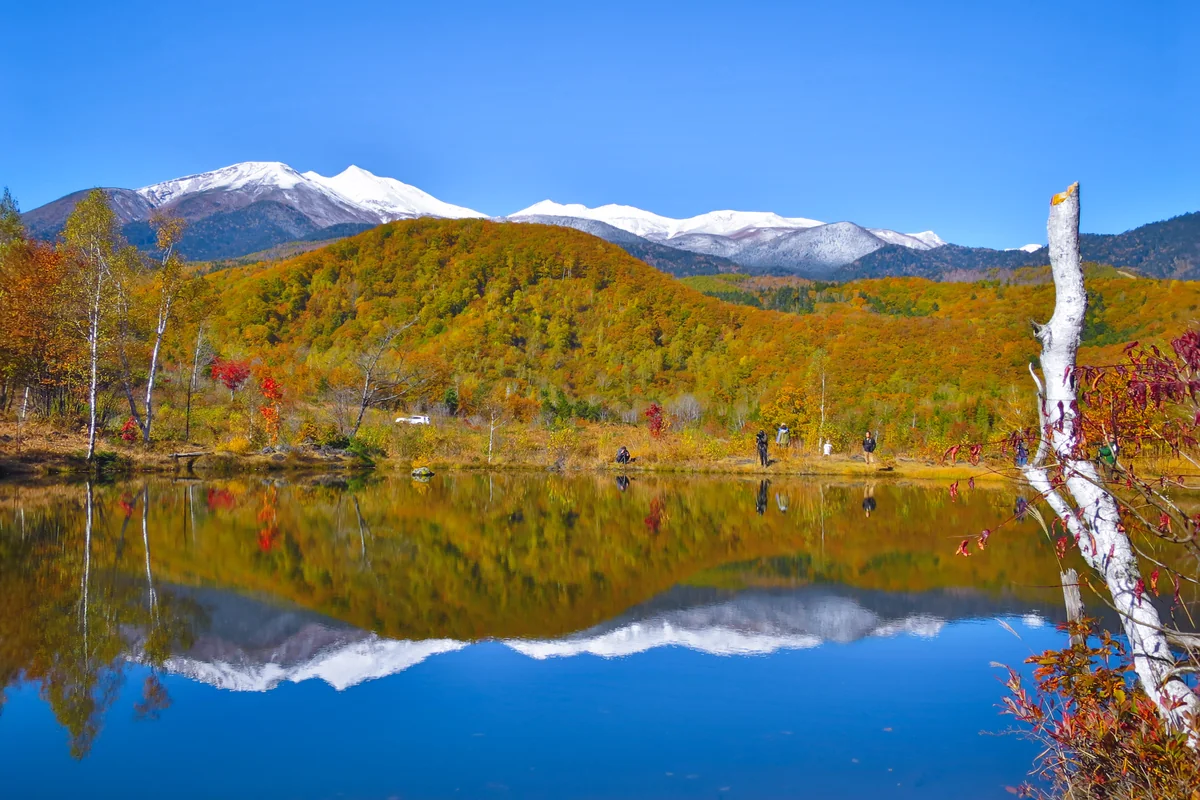 投稿写真：まいめの池に写る白銀の乗鞍岳と紅葉