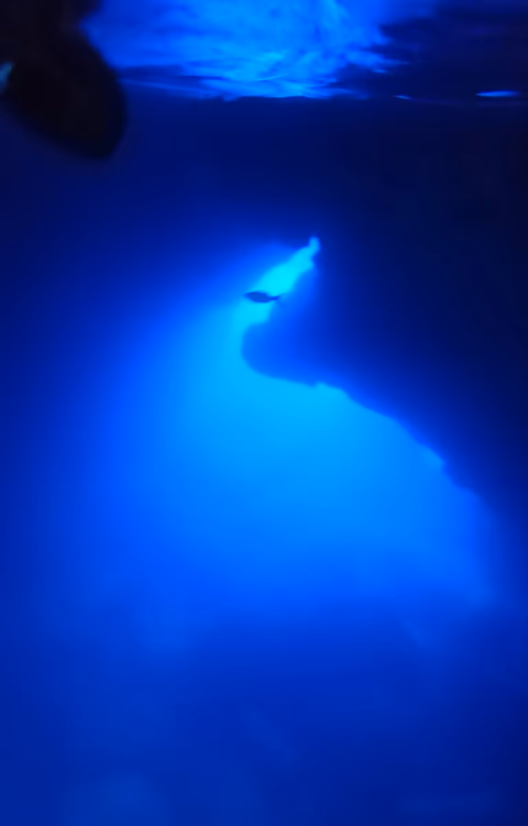投稿写真：ブルー