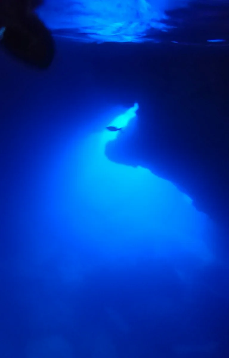 投稿写真：ブルー