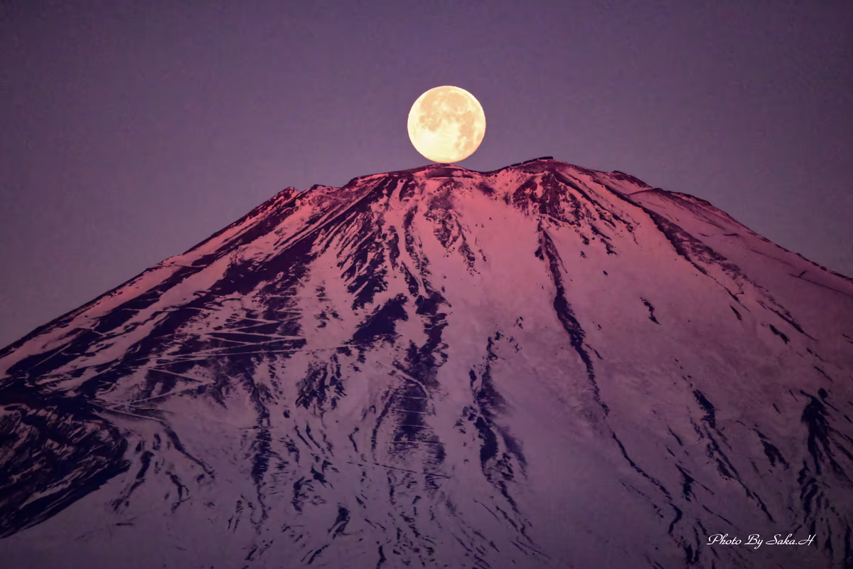 投稿写真：パール紅富士