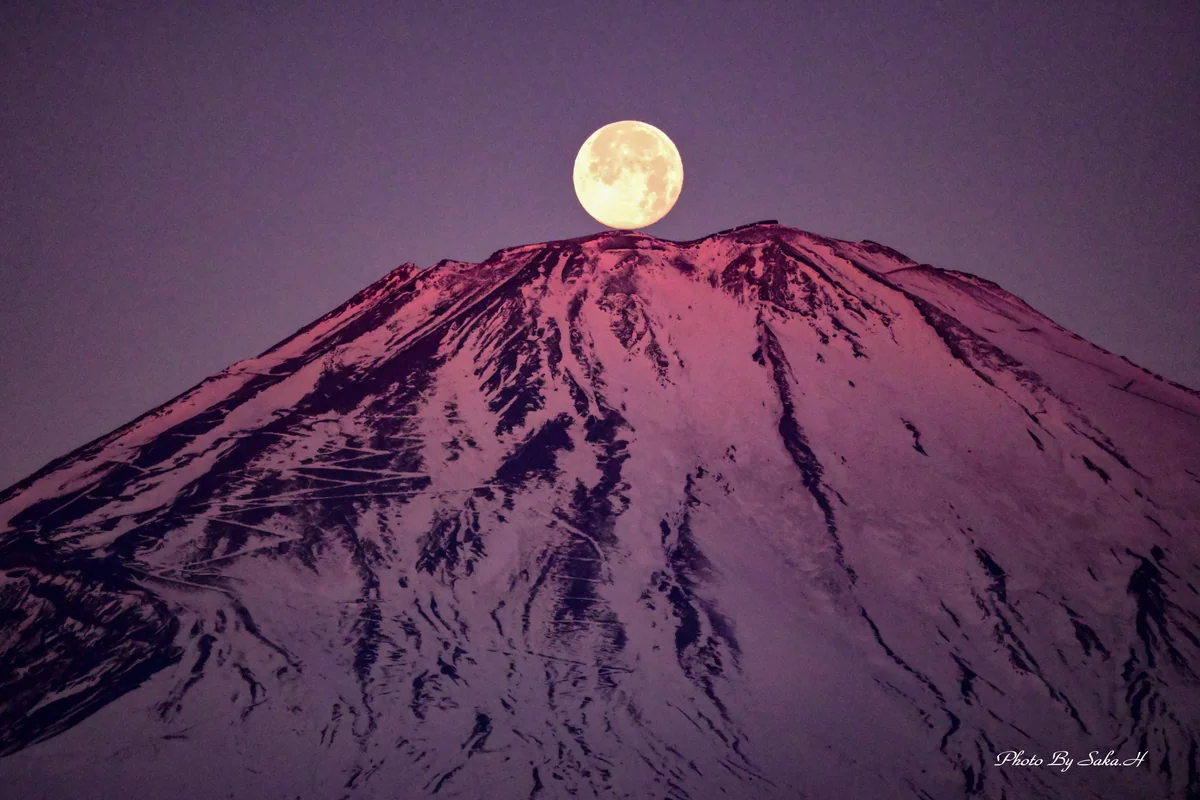 投稿写真：パール紅富士
