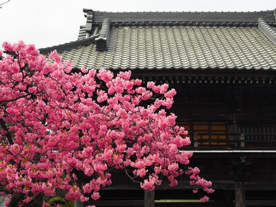  | 絶景事典