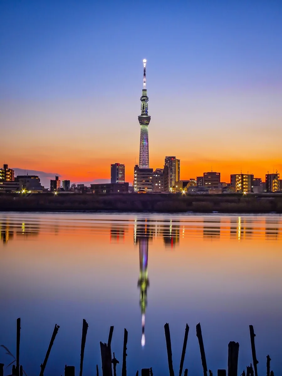 投稿写真：スカイツリーと夕焼け空のリフレクション