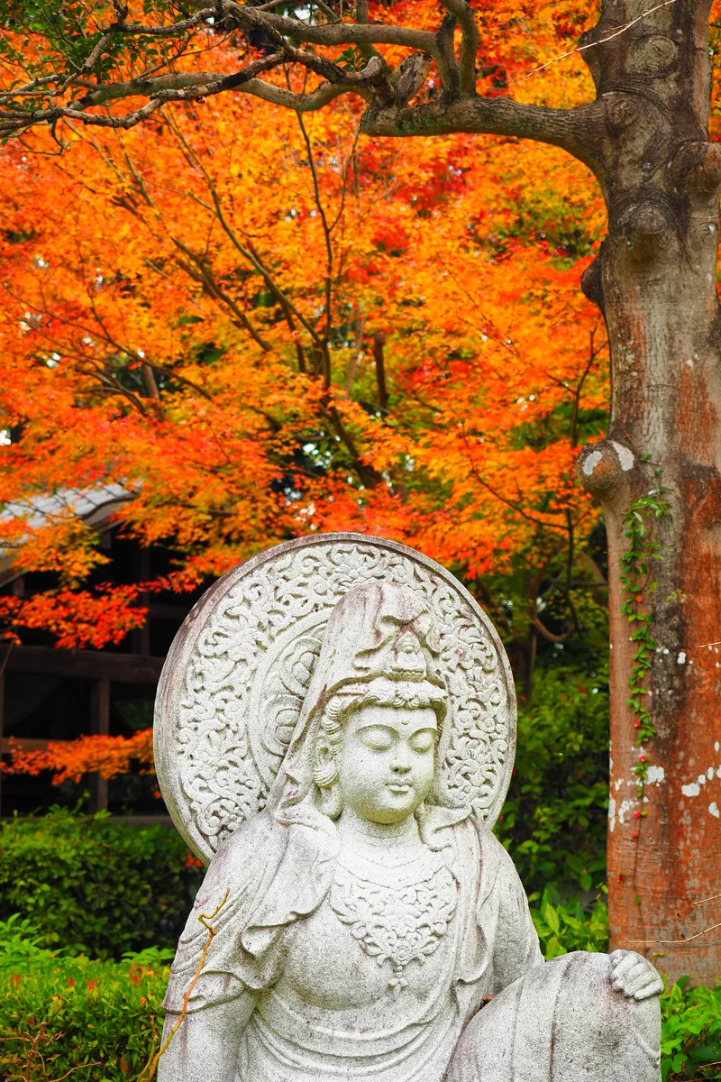 投稿写真：名もなき仏