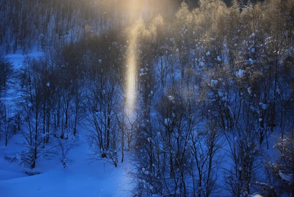 投稿：サンピラー