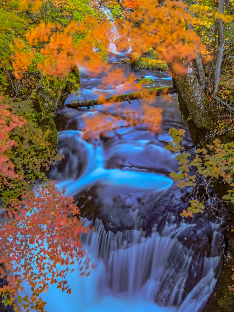 投稿写真：紅葉の竜頭の滝下流の渓流
