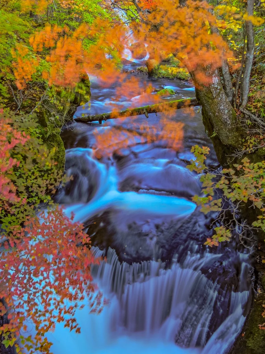 投稿写真：紅葉の竜頭の滝下流の渓流