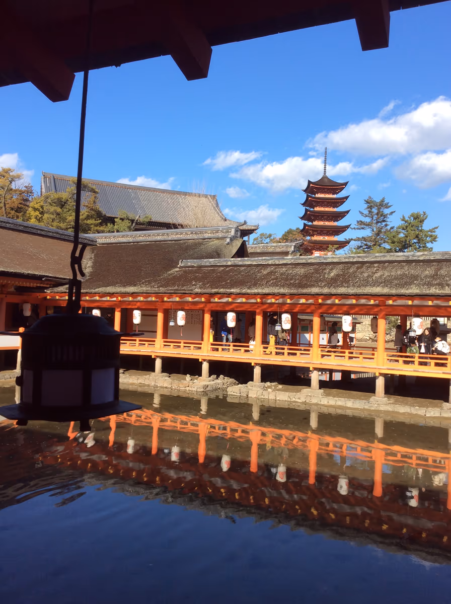 投稿写真：新春の厳島神社