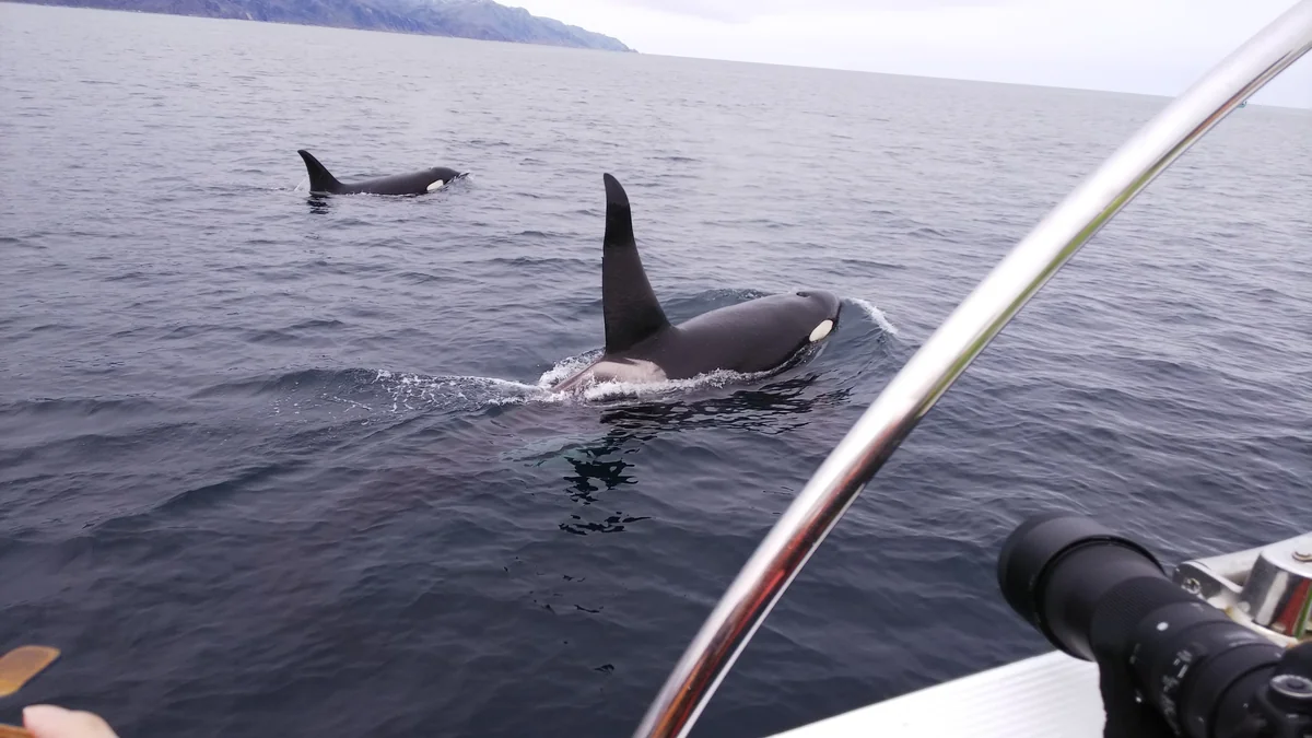 彩心人さんの投稿写真
