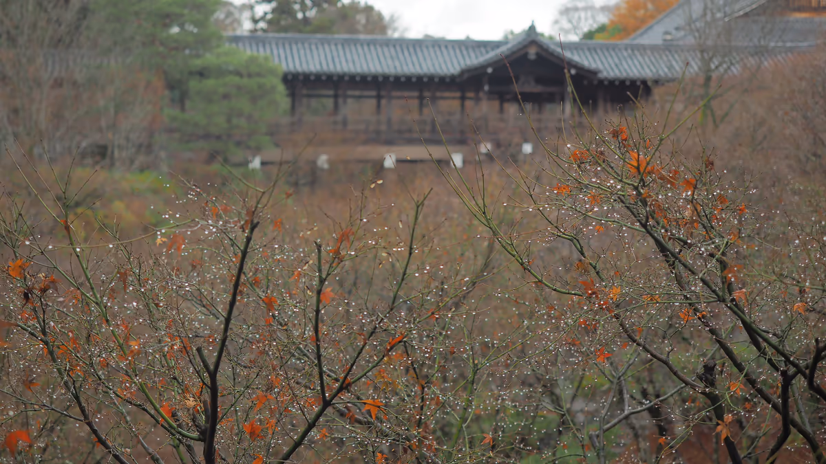 投稿写真：東福寺　通天橋