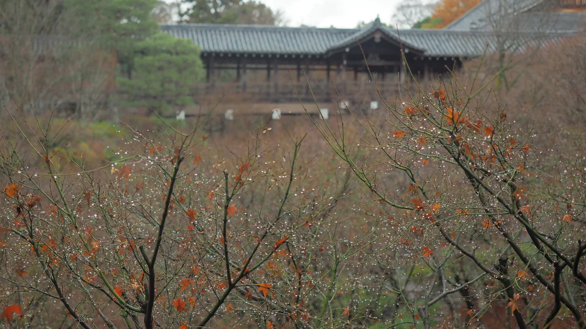 投稿写真：東福寺　通天橋