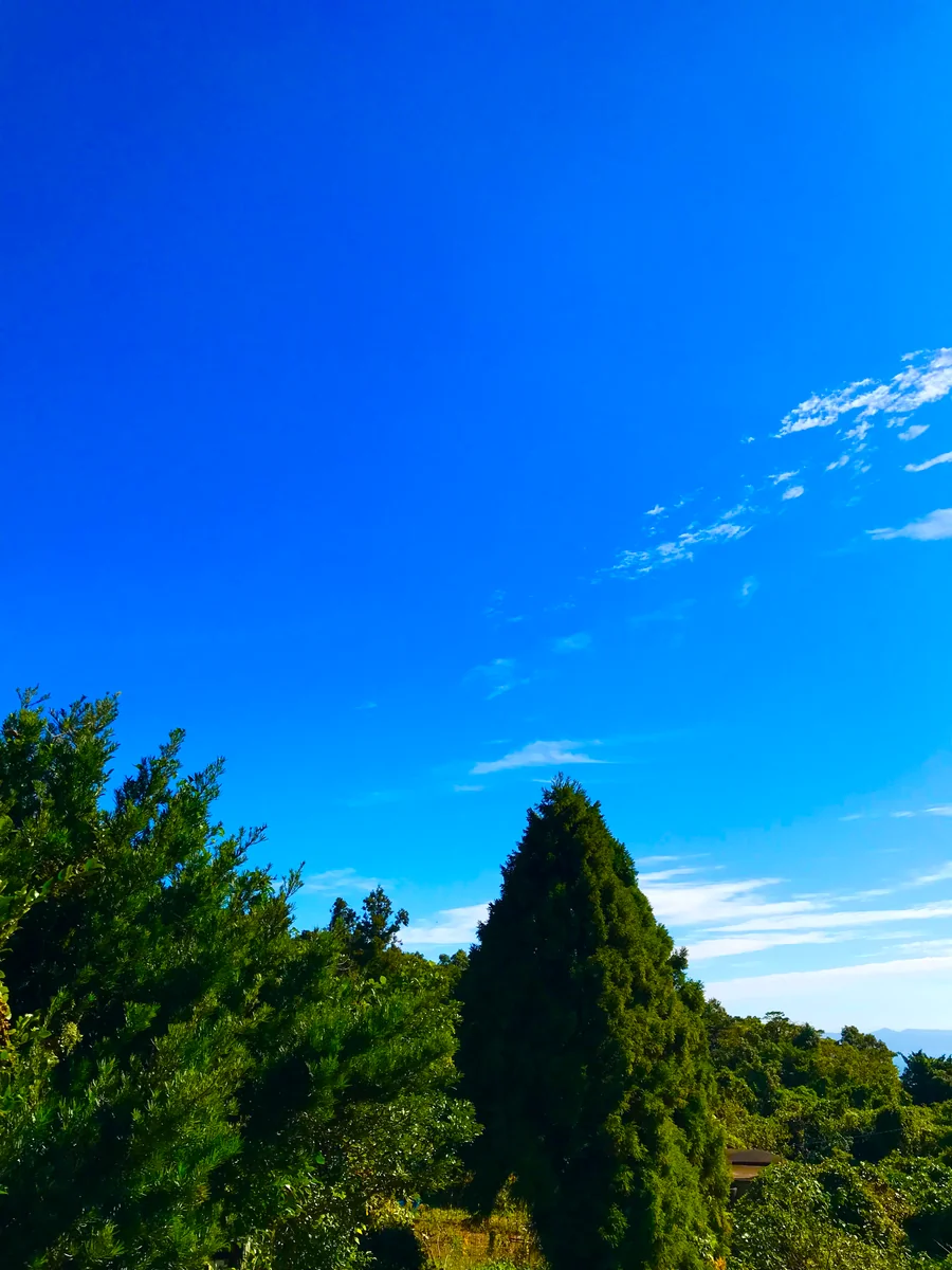 投稿写真：空色のメロディ