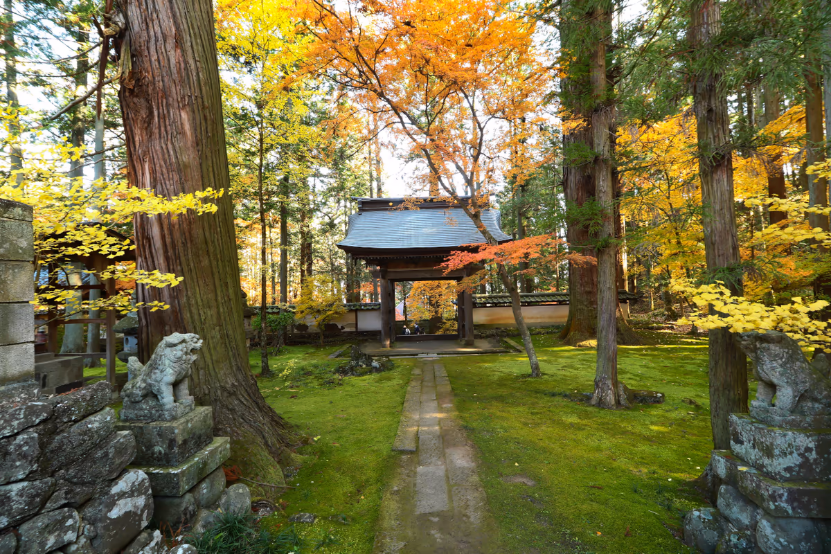 投稿写真：秋の貞祥寺