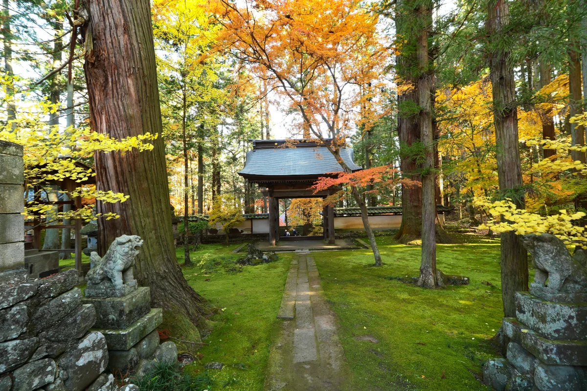投稿写真：秋の貞祥寺