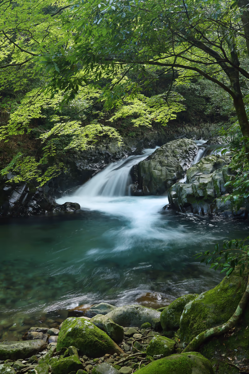 投稿写真：滑沢渓谷　竜姿の滝