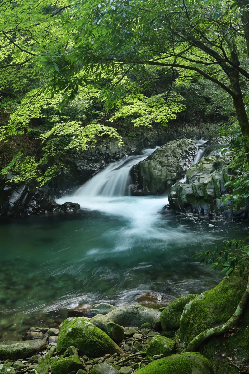 投稿写真：滑沢渓谷　竜姿の滝