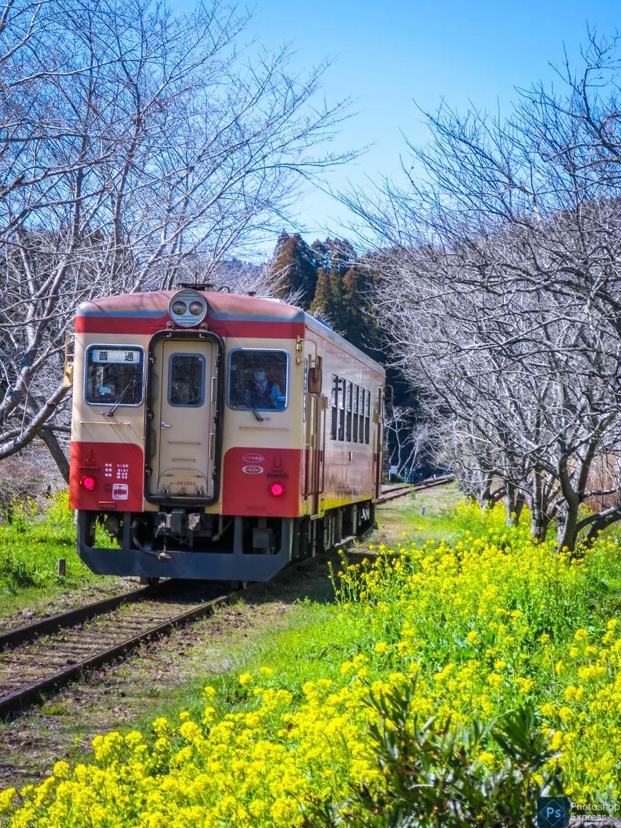 伊藤 和平さんの投稿写真