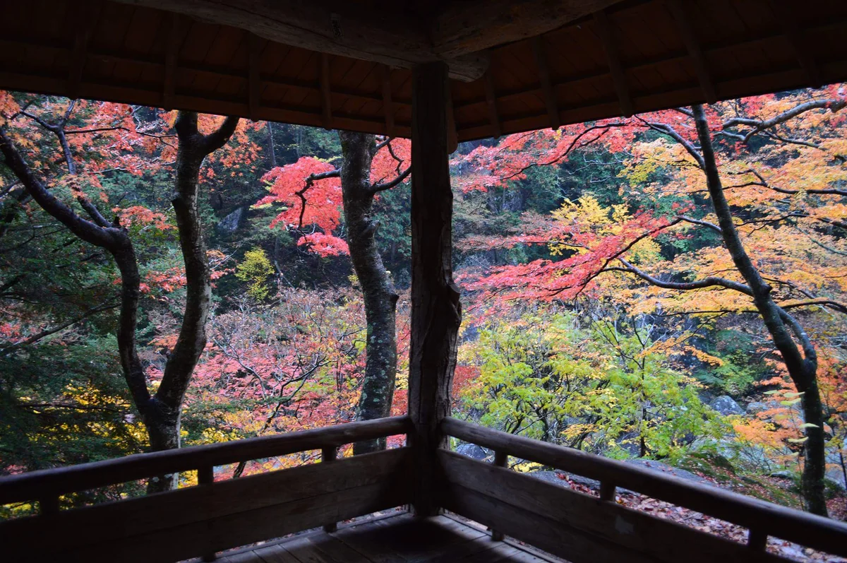 投稿写真：昇仙峡の紅葉