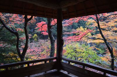  | 絶景事典