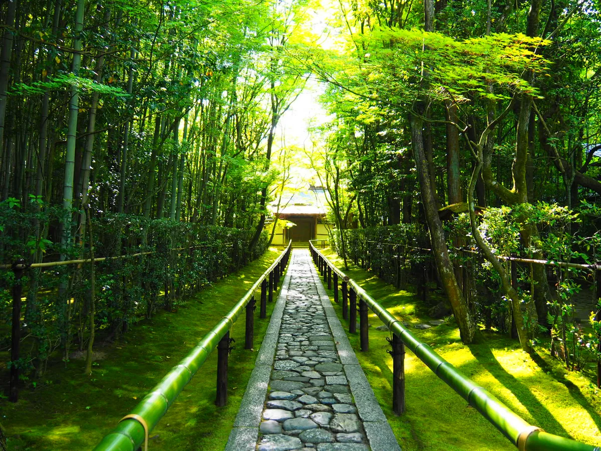 投稿写真：京都 大徳寺