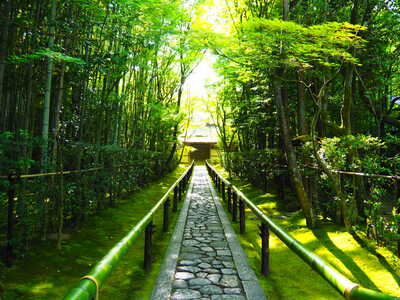  | 絶景事典