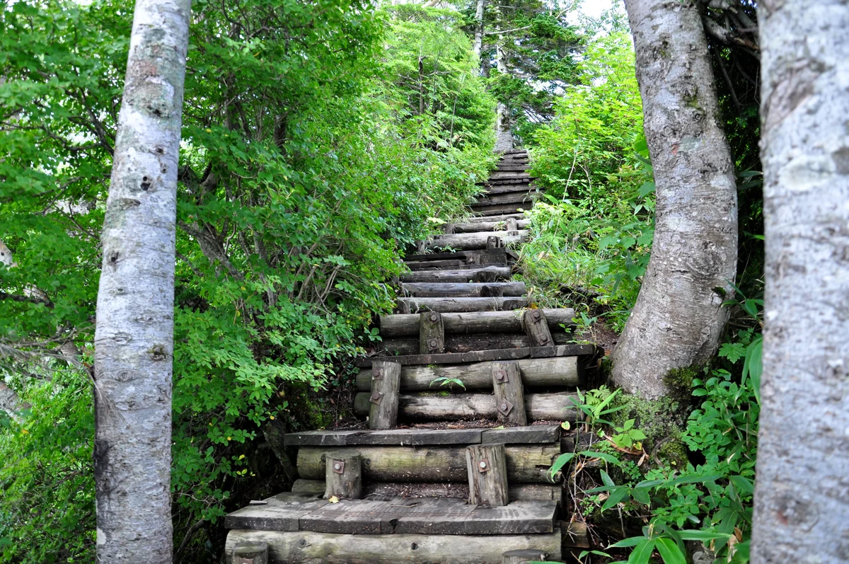 投稿写真：秋の古道