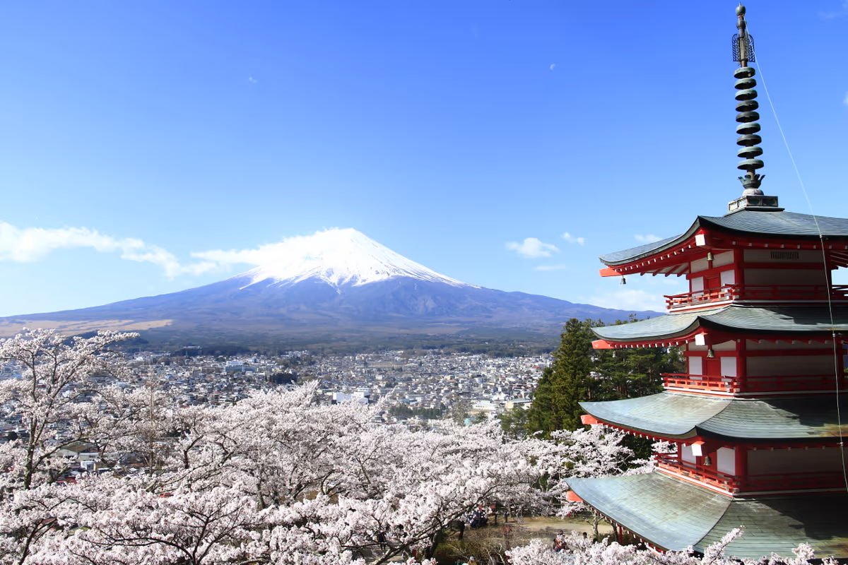 投稿写真：春の富士山
