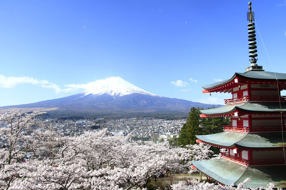 投稿写真：春の富士山
