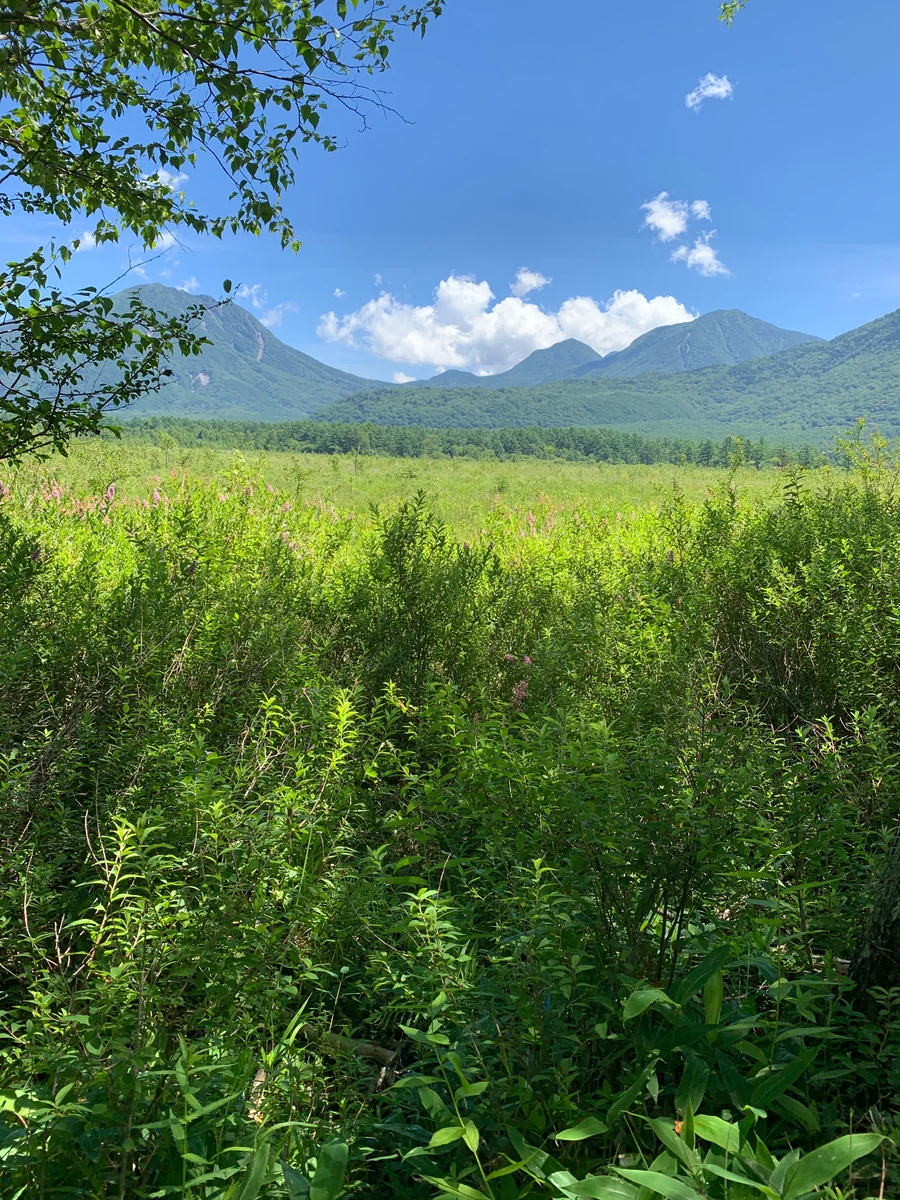 投稿写真：戦場ヶ原