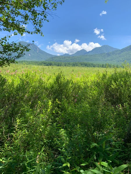 投稿：戦場ヶ原