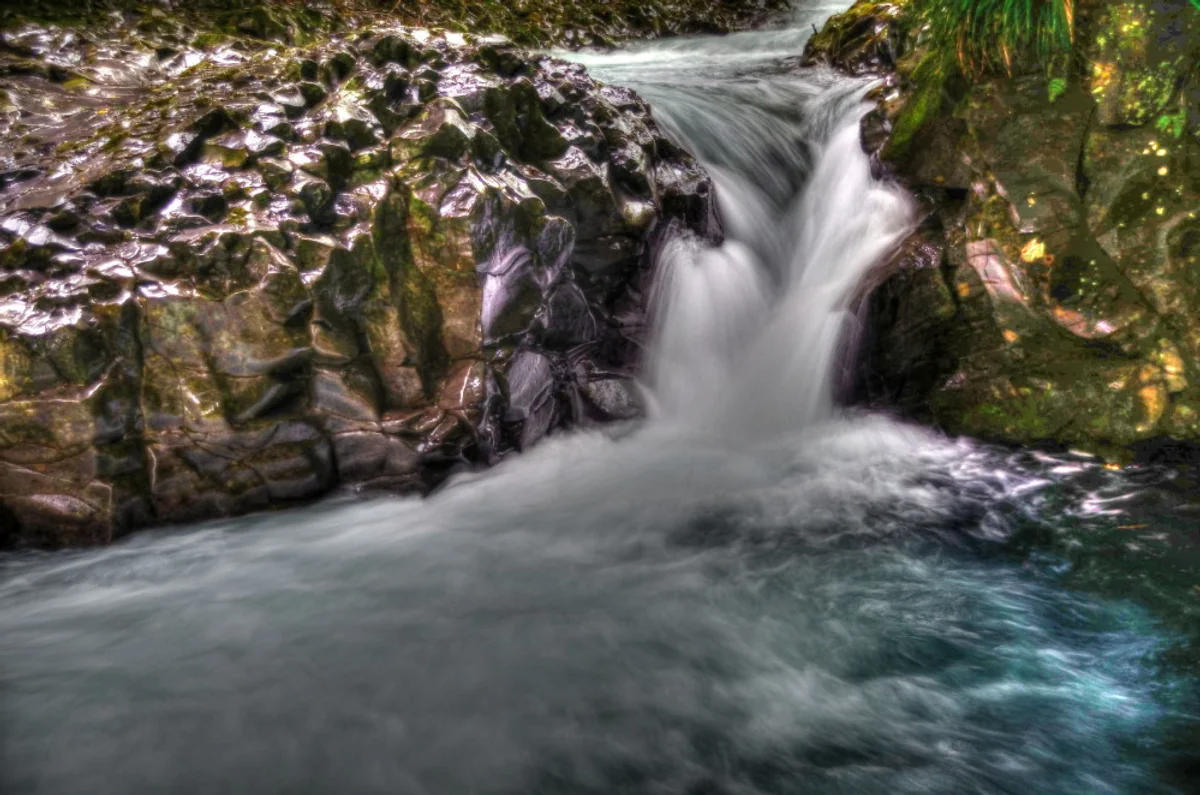 投稿写真：伊豆河津七滝　カニ滝