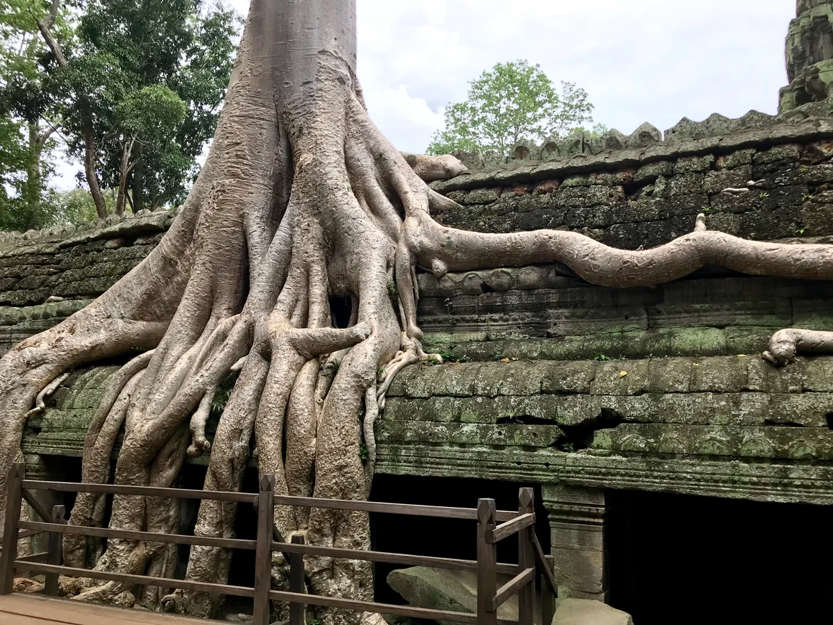 投稿写真：タ・プローム