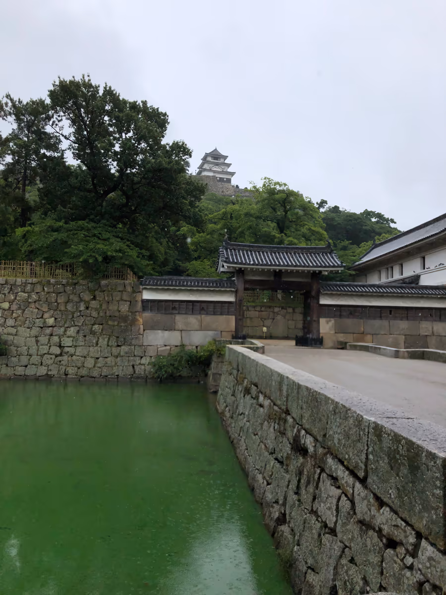 投稿写真：丸亀城