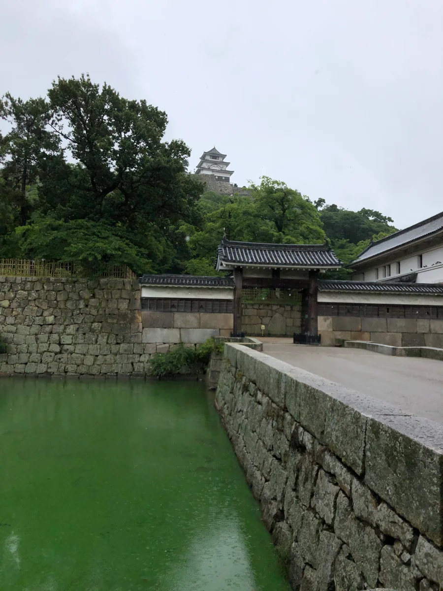 投稿写真：丸亀城