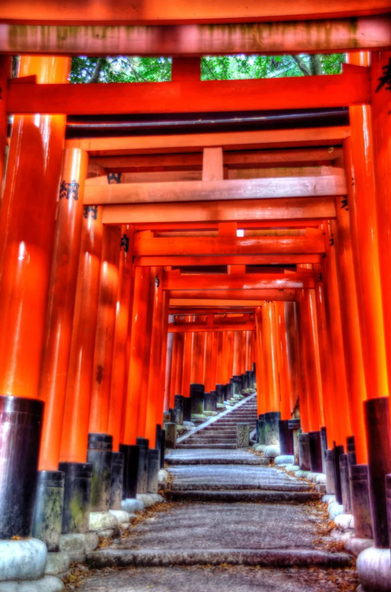 投稿写真：鳥居の迷宮