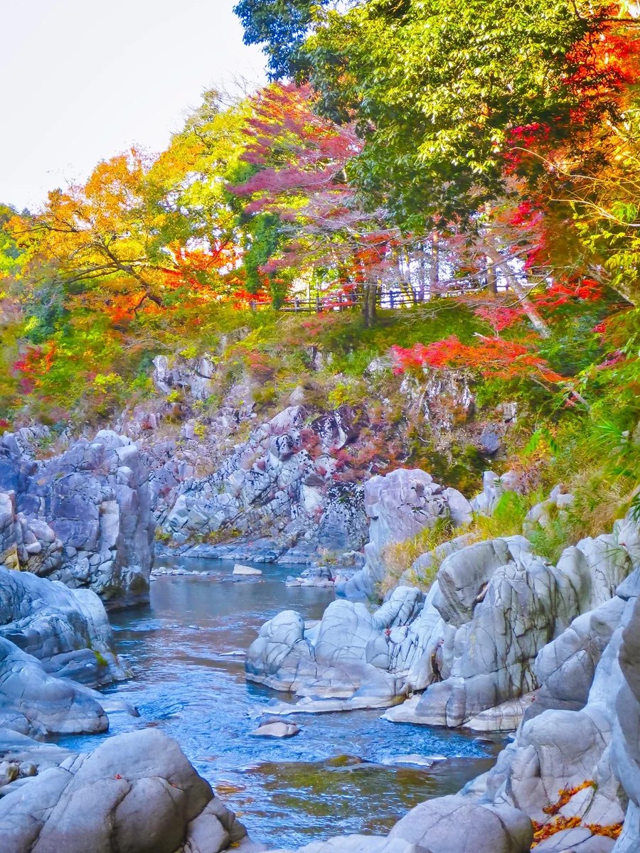 投稿写真：紅葉の大蛇ヶ淵